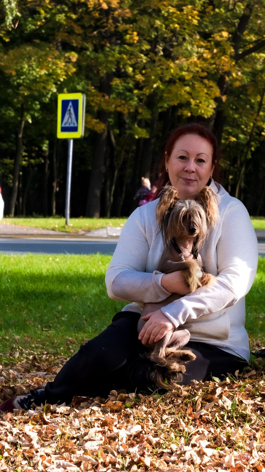 Poale Ell Adam. Poale Ell Chinese Crested Dog Kennel: Buy a puppy from the kennel