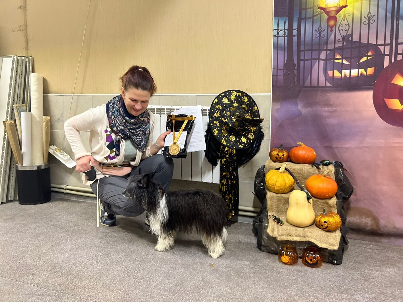 Рейко сынок Честера. Питомник китайских хохлатых собак Poale Ell: купить щенка в питомнике