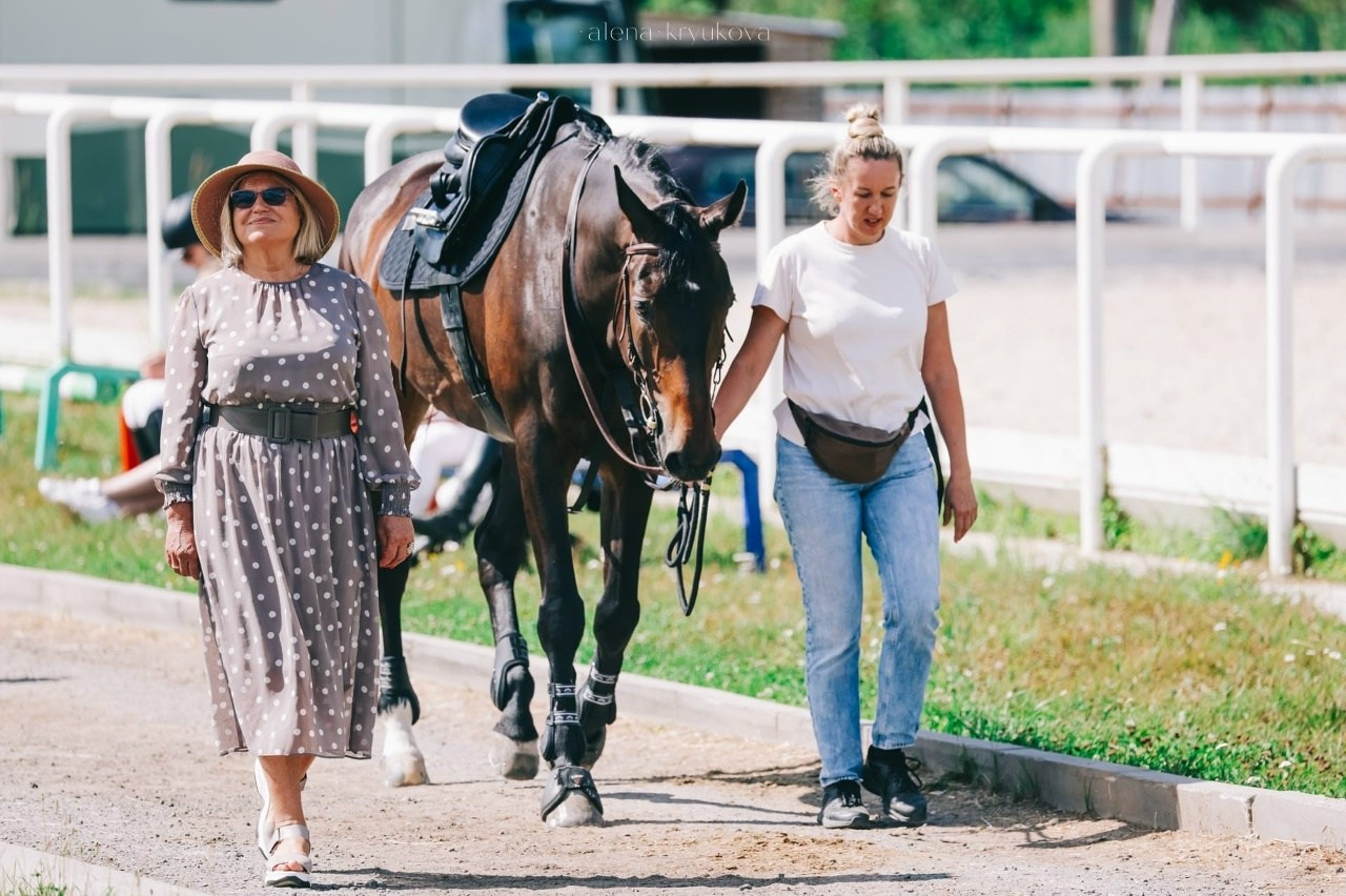 Летние соревнования. Фотосессии с лошадьми