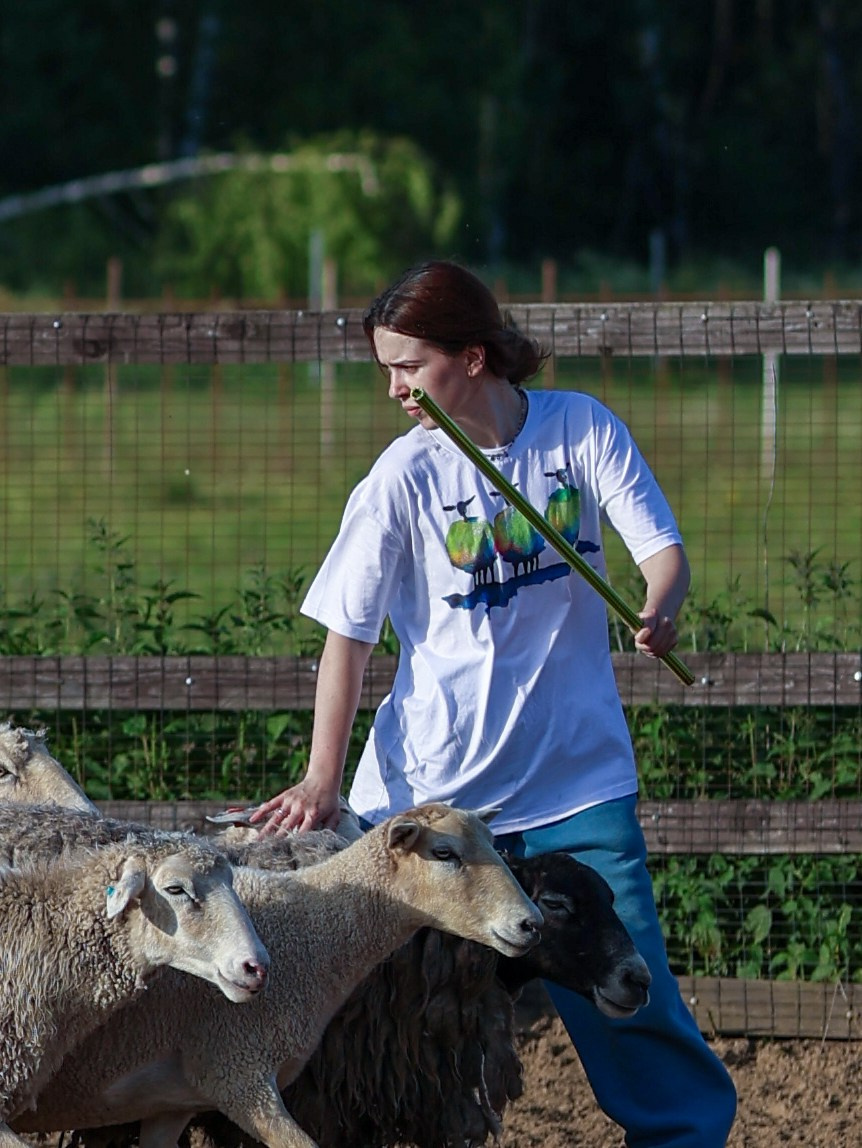 Пастьба. Фотограф-анималист в Москве Кириллова Татьяна