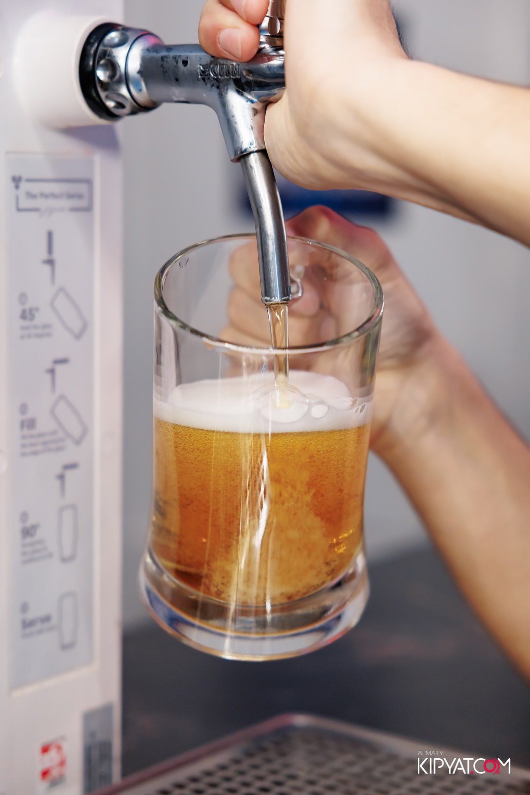 УХО И МЕДВЕДЬ НА ГАГАРИНА. КИПЯТКОМ АЛМАТЫ! Фотосъемка мероприятий в Алматы