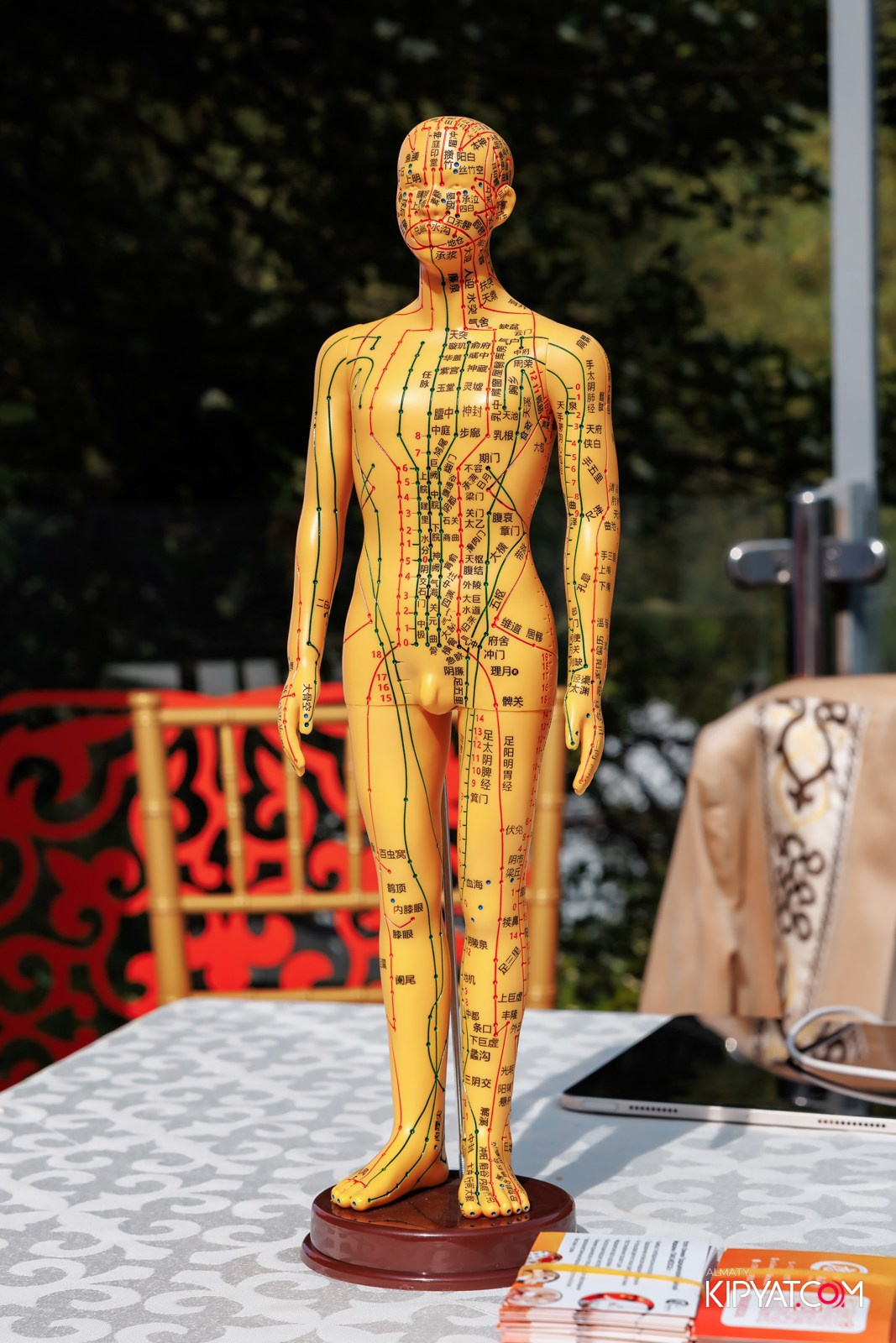 KANG REN TANG. КИПЯТКОМ АЛМАТЫ!