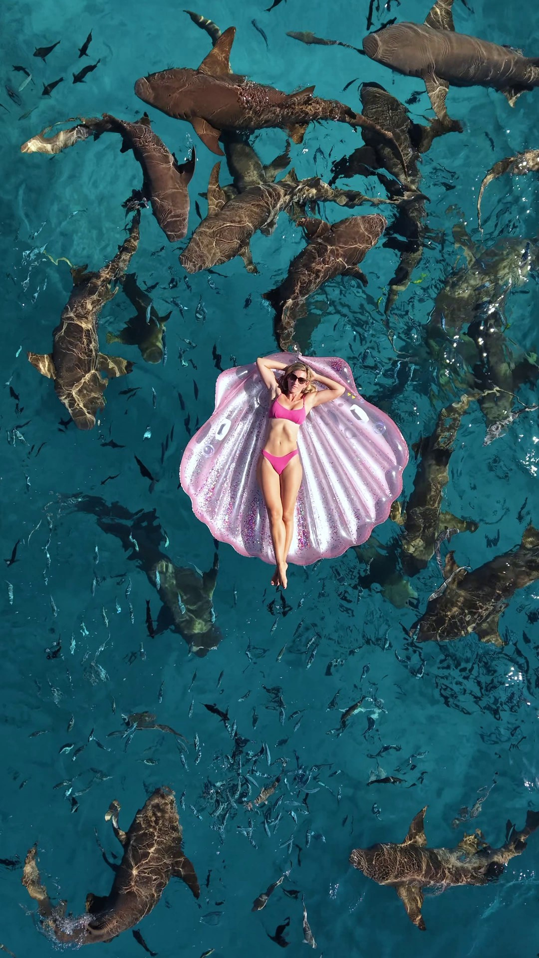 Видео и фото с авторских туров АЛГА на Мальдивах