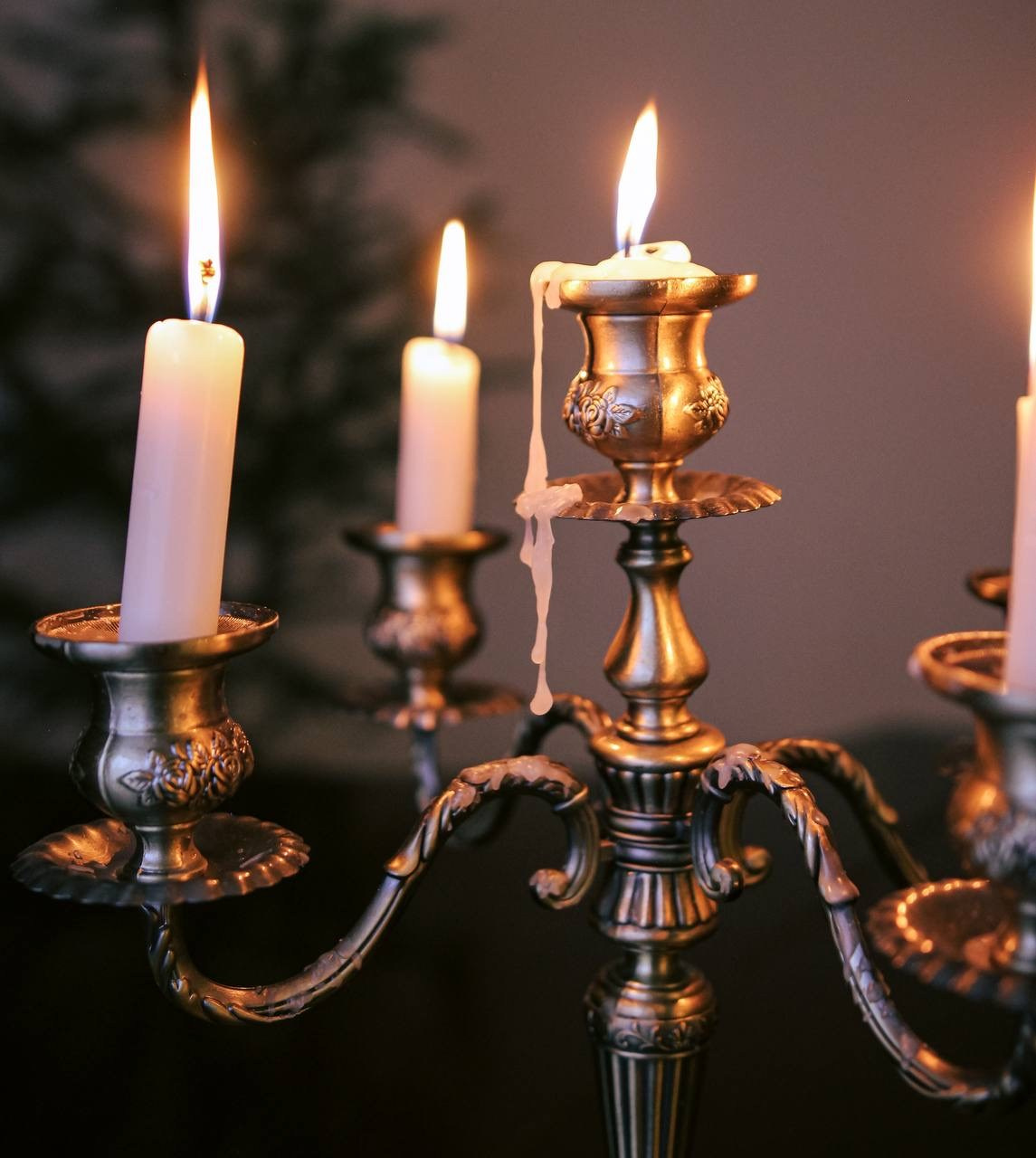 Фотосессия в студии. V I KA P H O T O