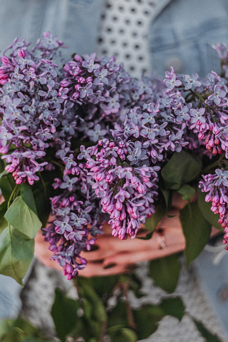 M+L. Портретный и Семейный фотограф в Санкт-Петербурге Rocket Alice