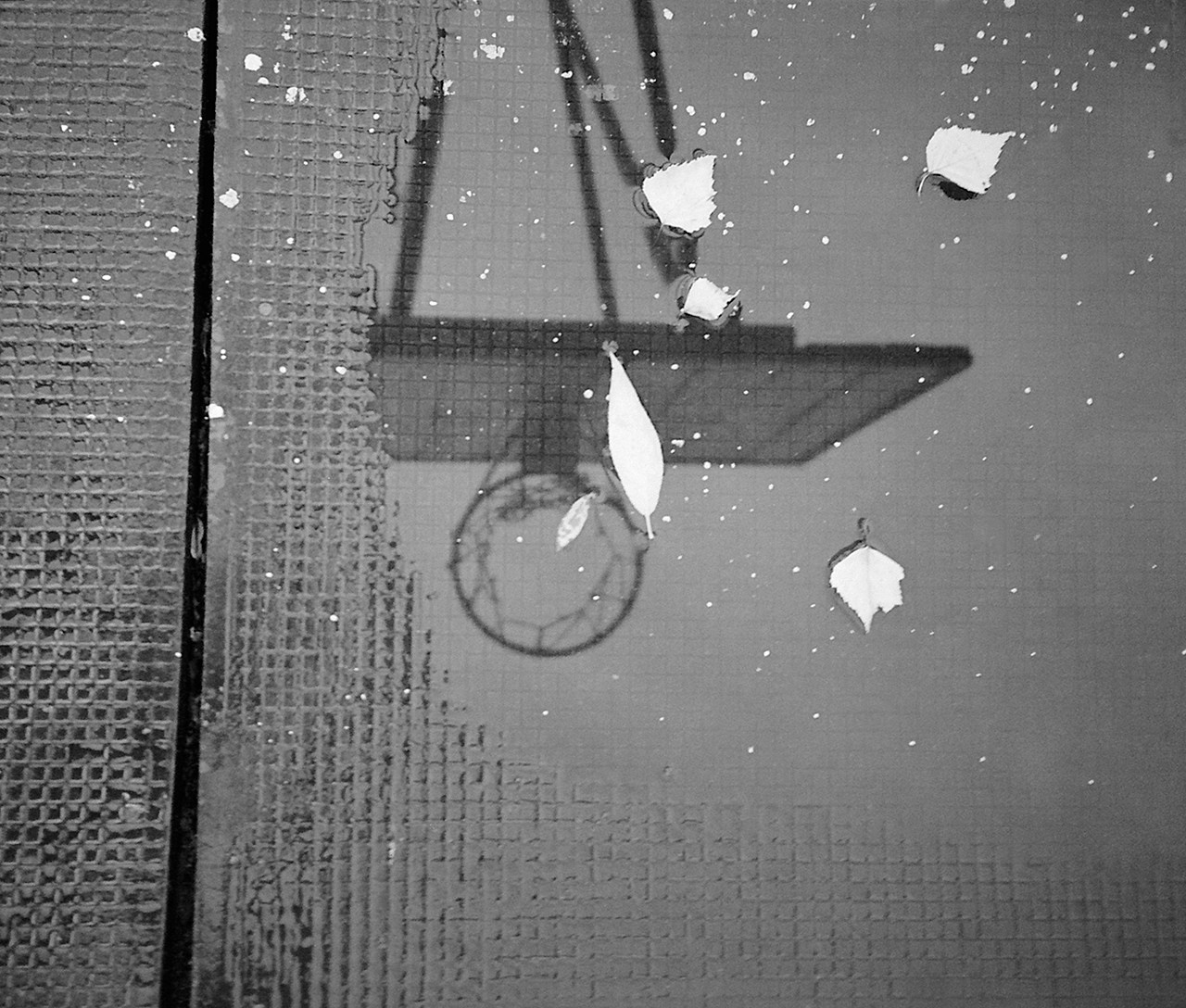 РАЗНОЕ. Андрей Пономарёв