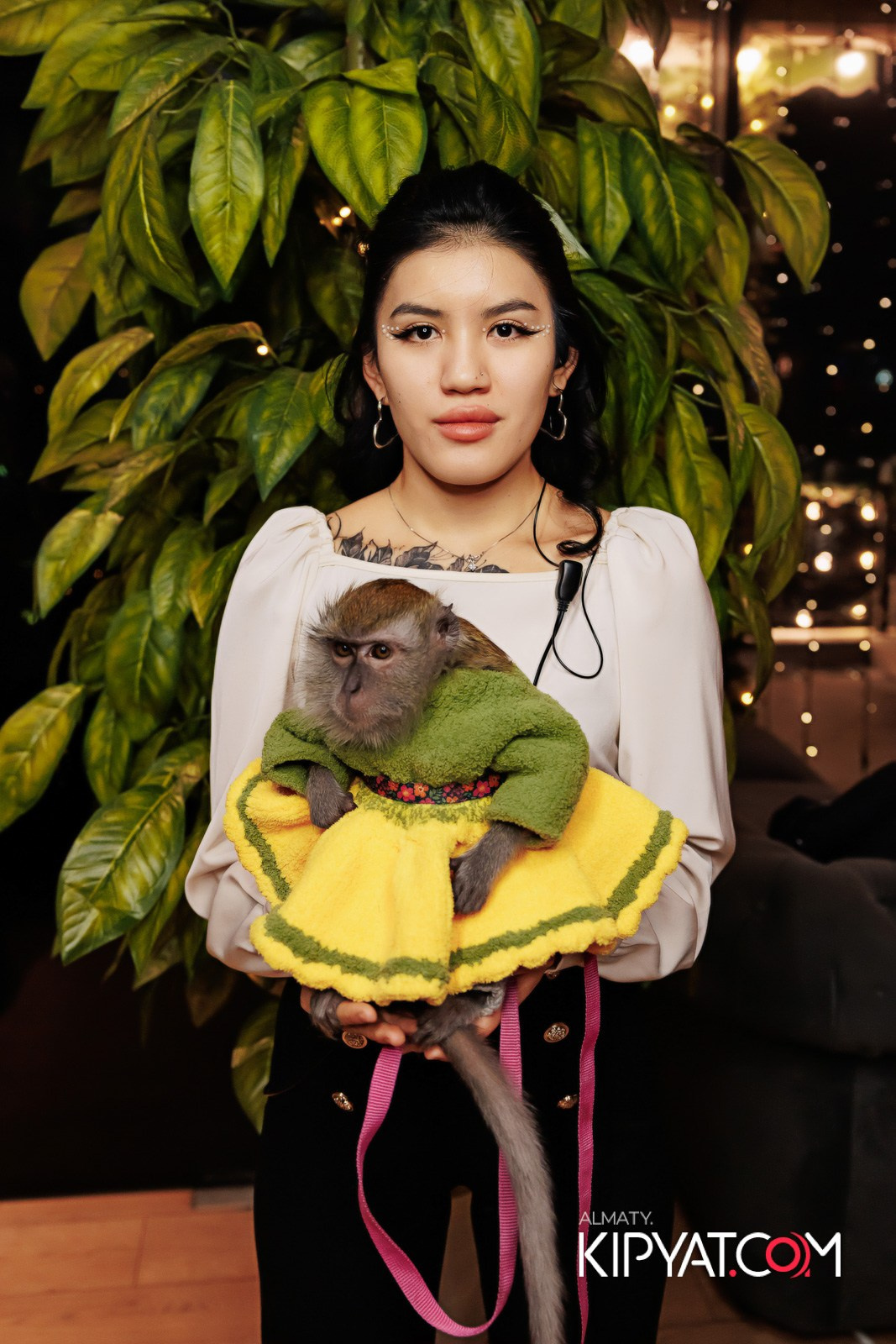 MYATA LOUNGE НА МЕНДИКУЛОВА 6 ЛЕТ. КИПЯТКОМ АЛМАТЫ!