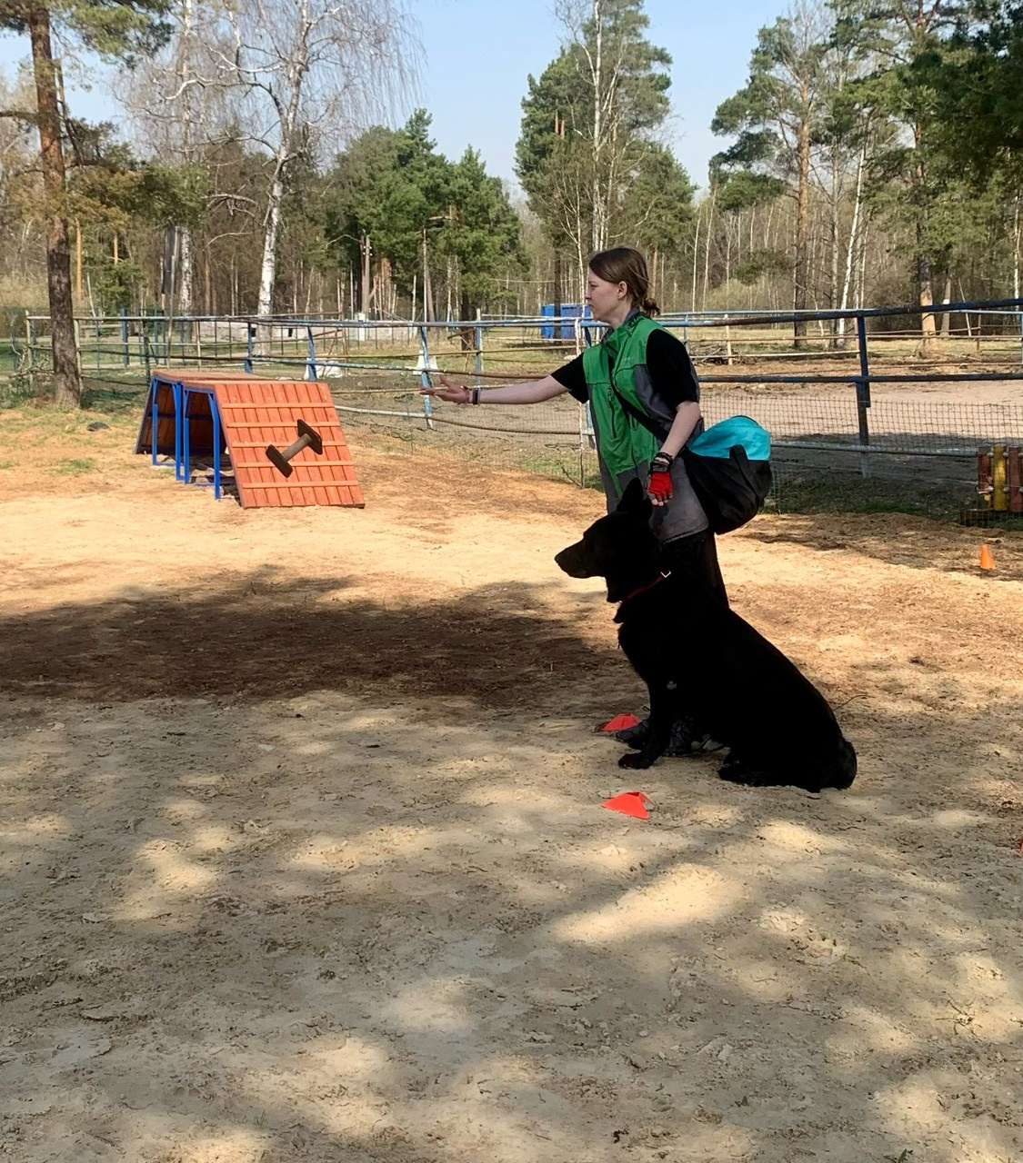 Практические занятия по дрессировке. НРОО КЦ "Собаковод"