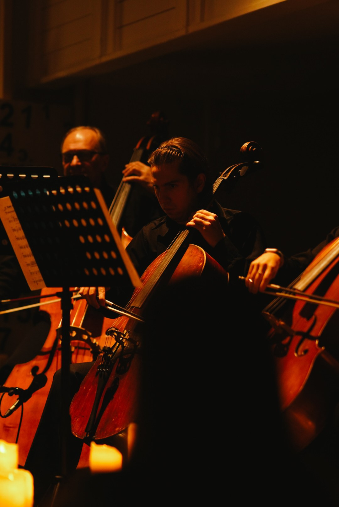 Репортажи. Northerndaria Фотограф & Видеограф