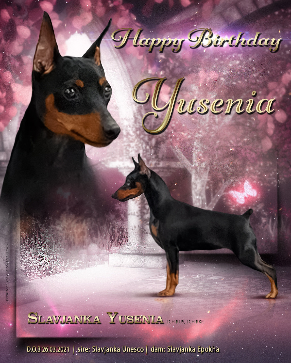 Animal presentation. Фотограф