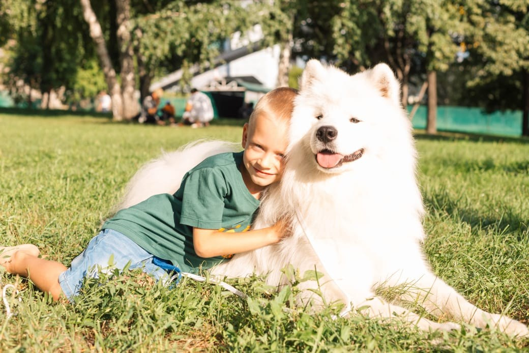 Фотосессия на Михайловской набережной. Самоед Новосибирск