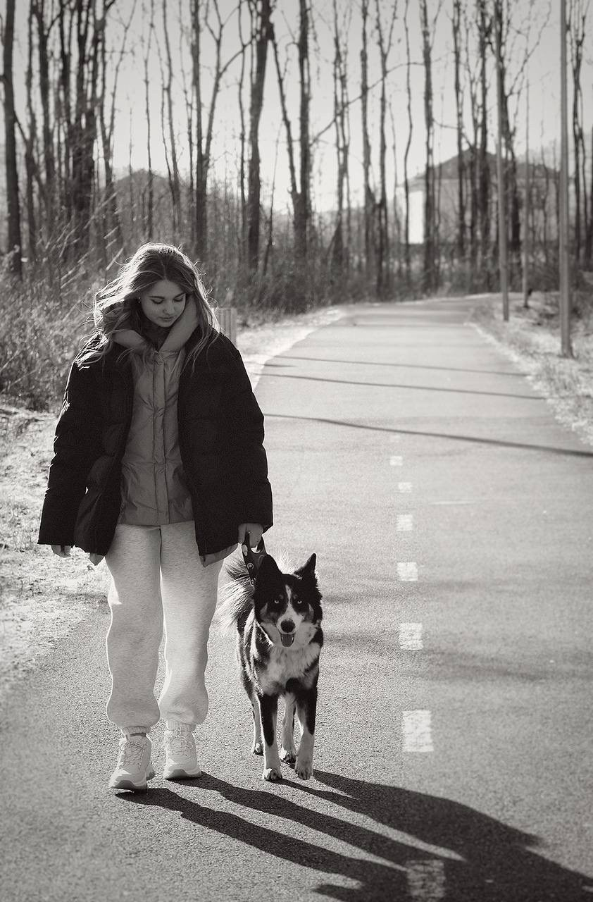 Четвероногий друг. V I KA P H O T O