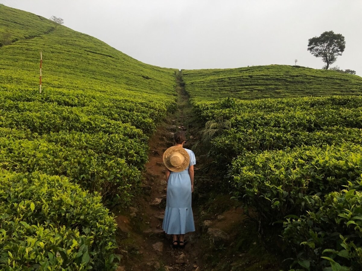 КРАСИВЫЕ МЕСТА В СОЧИ. Свадебный и семейный фотограф/видеограф в Краснодаре Наталья Осинская