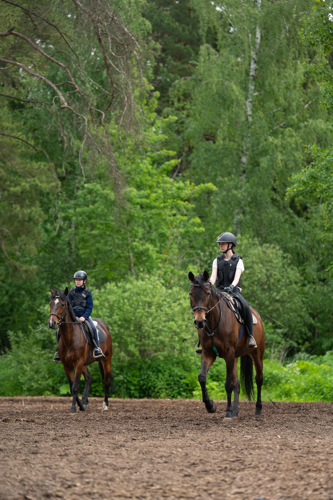 Конюшня. Мир живой фотографии о Вас и для Вас