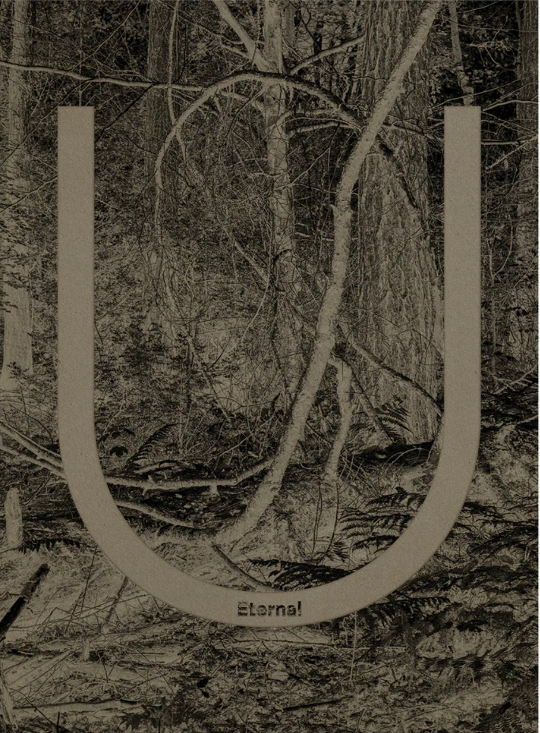 Понедельник 1. Вначале ничего не было…. …