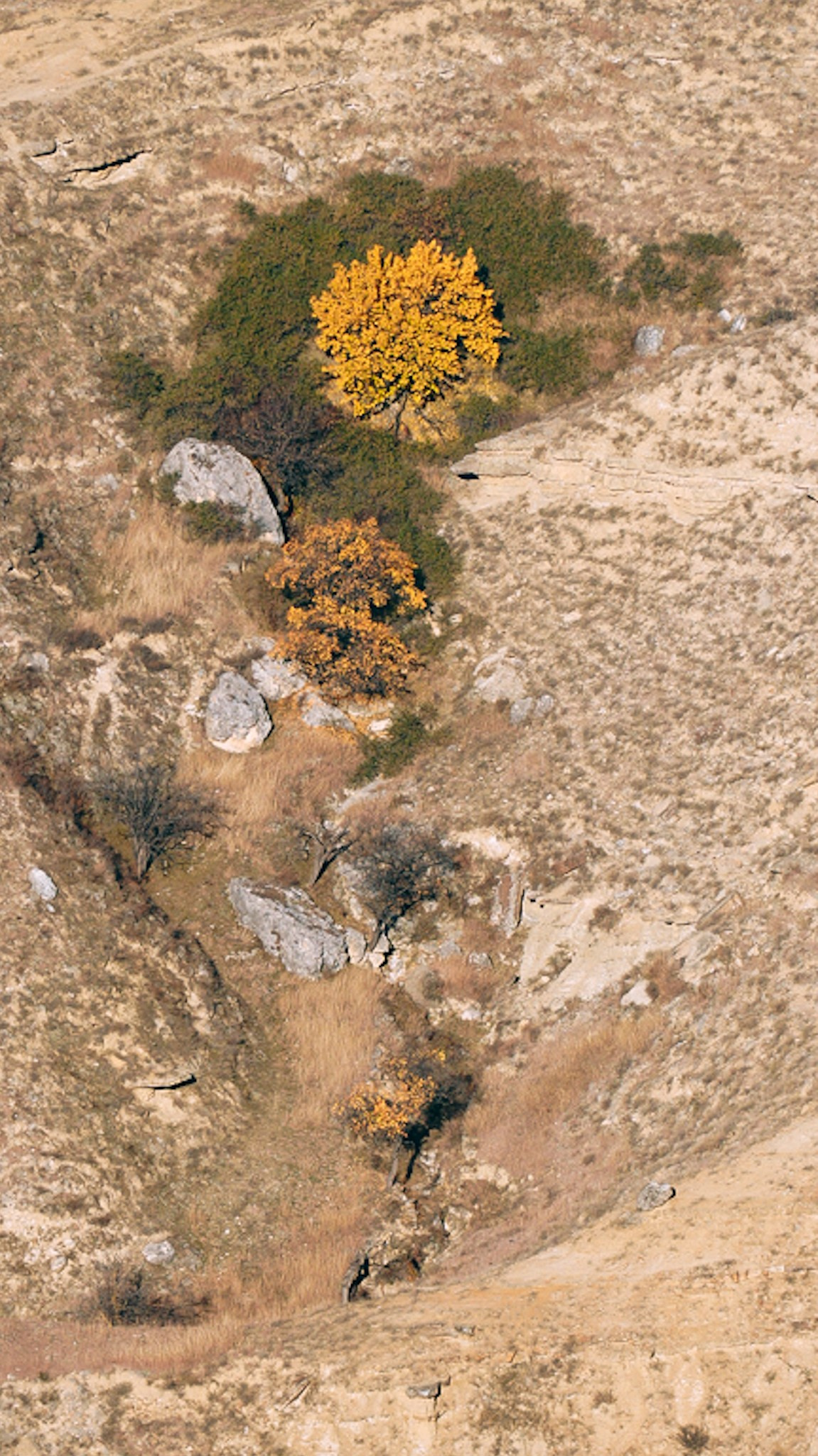 Дагестан 2023. Человек с фотокамерой