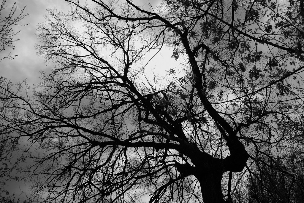 Welcome. Фото Стремского