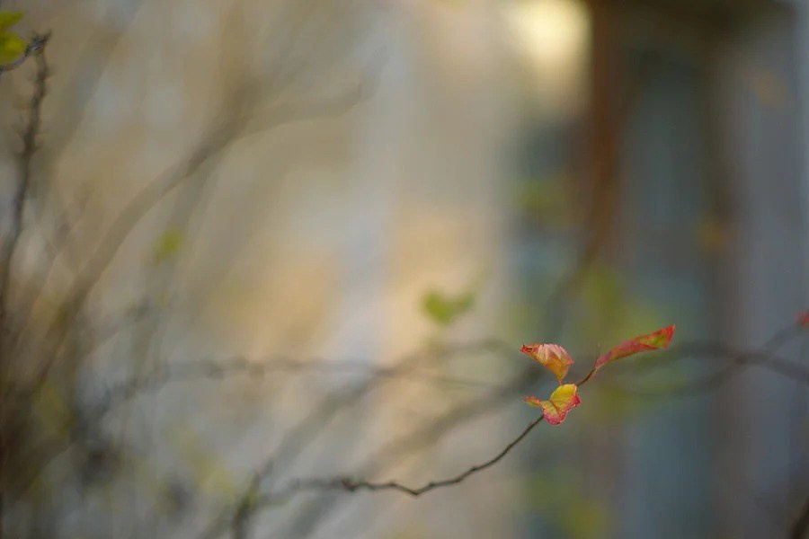 Путешествия. Фотограф Ирина Абзалова