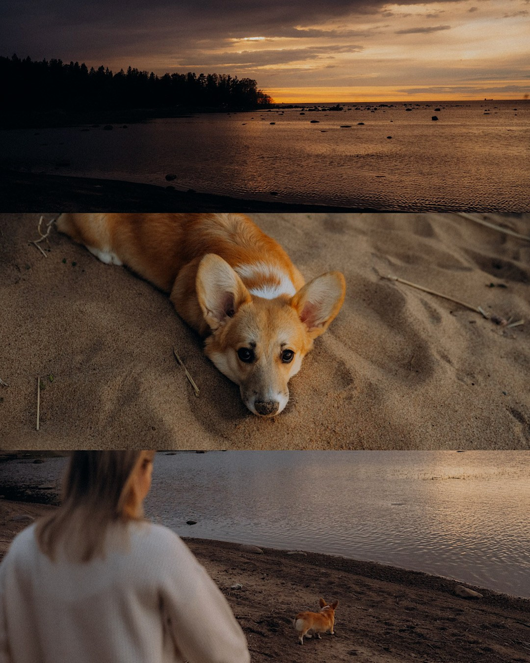 Катя и Берта. Фотограф анималист в Москве и Санкт-Петербурге Свиридова Анна