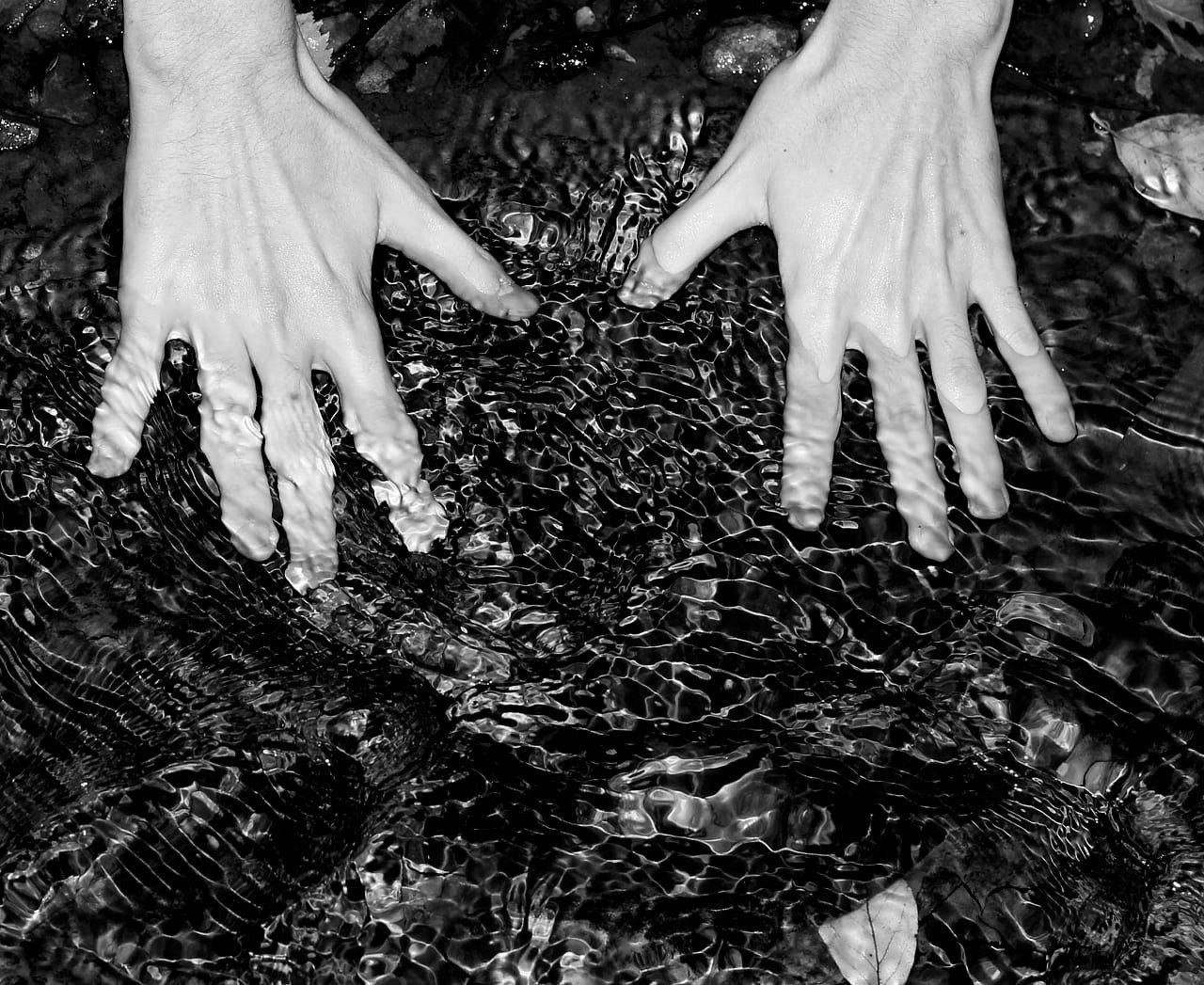 Пряник не проявляет негатив, творческий фотограф, Москва и Санкт-Петербург