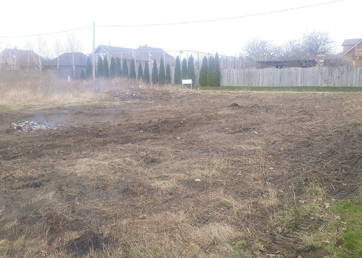 Расчистка Калининград