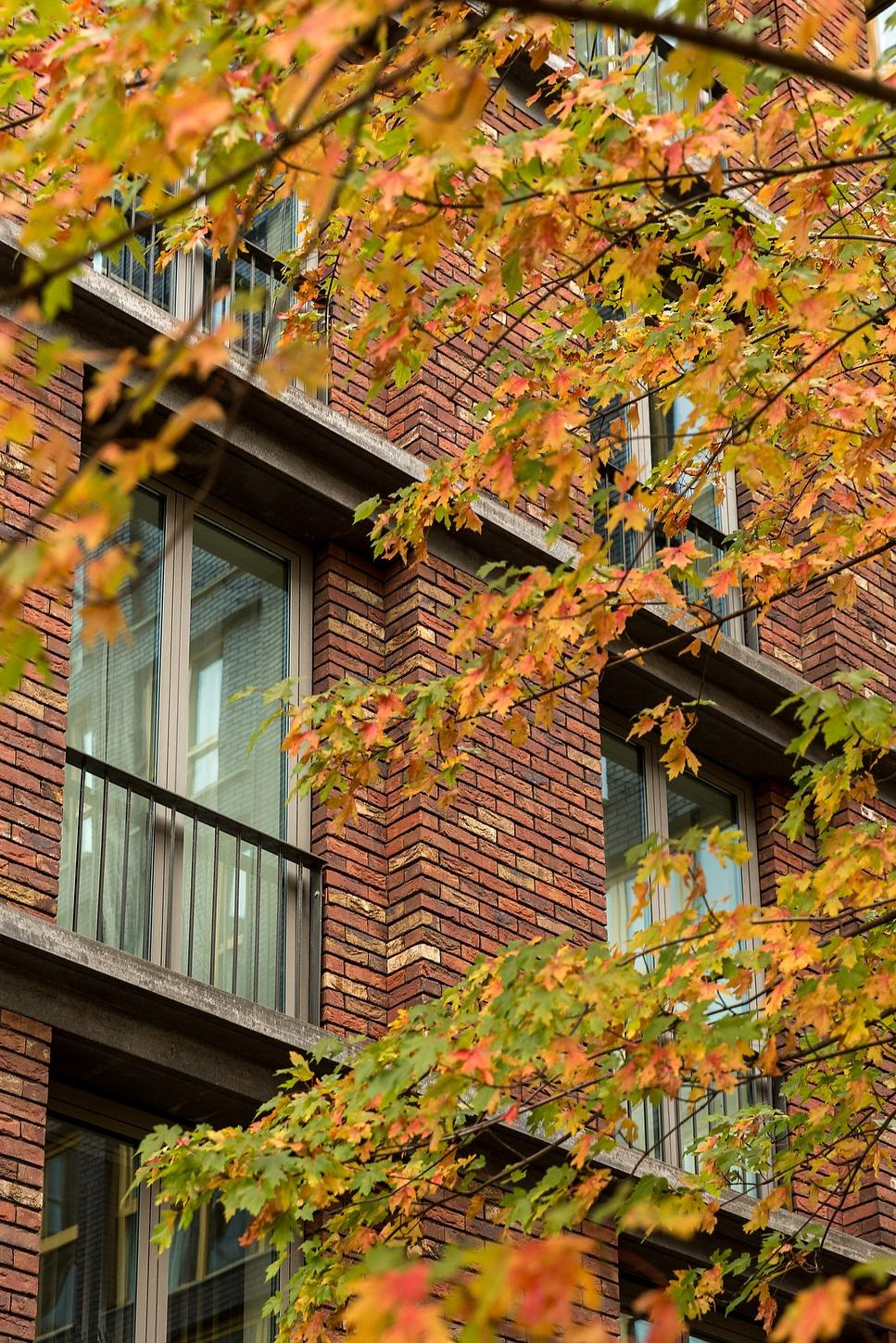 Архитектура. Фотограф Ольга Че