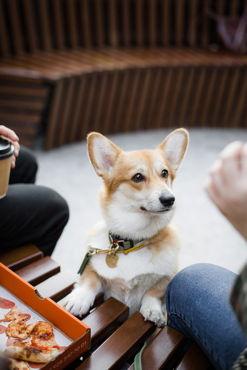 Ангелина и Николай