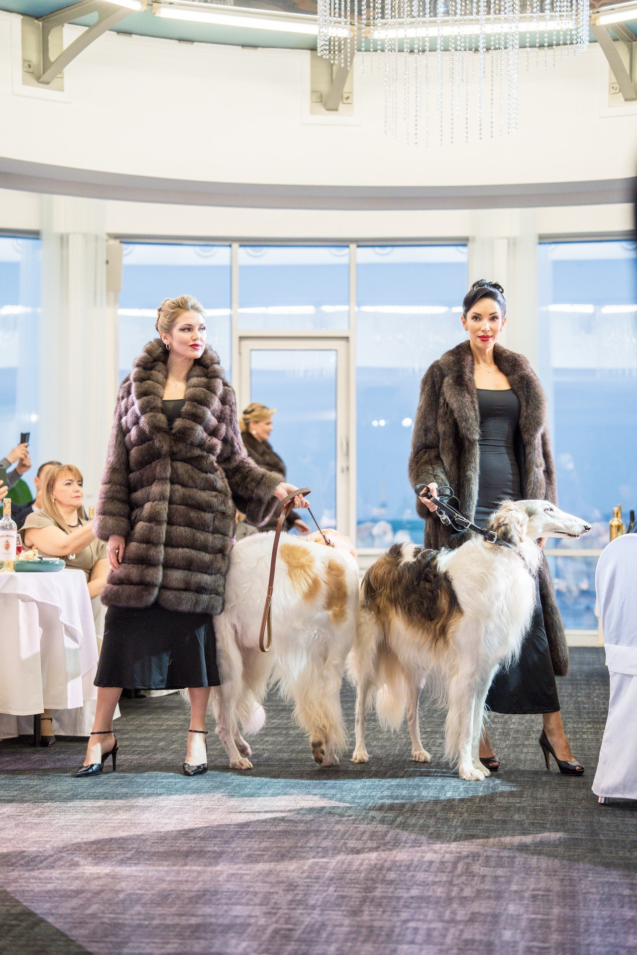 Русьпушнина. Репортажная съёмка в Санкт-Петербурге, Константин Петров