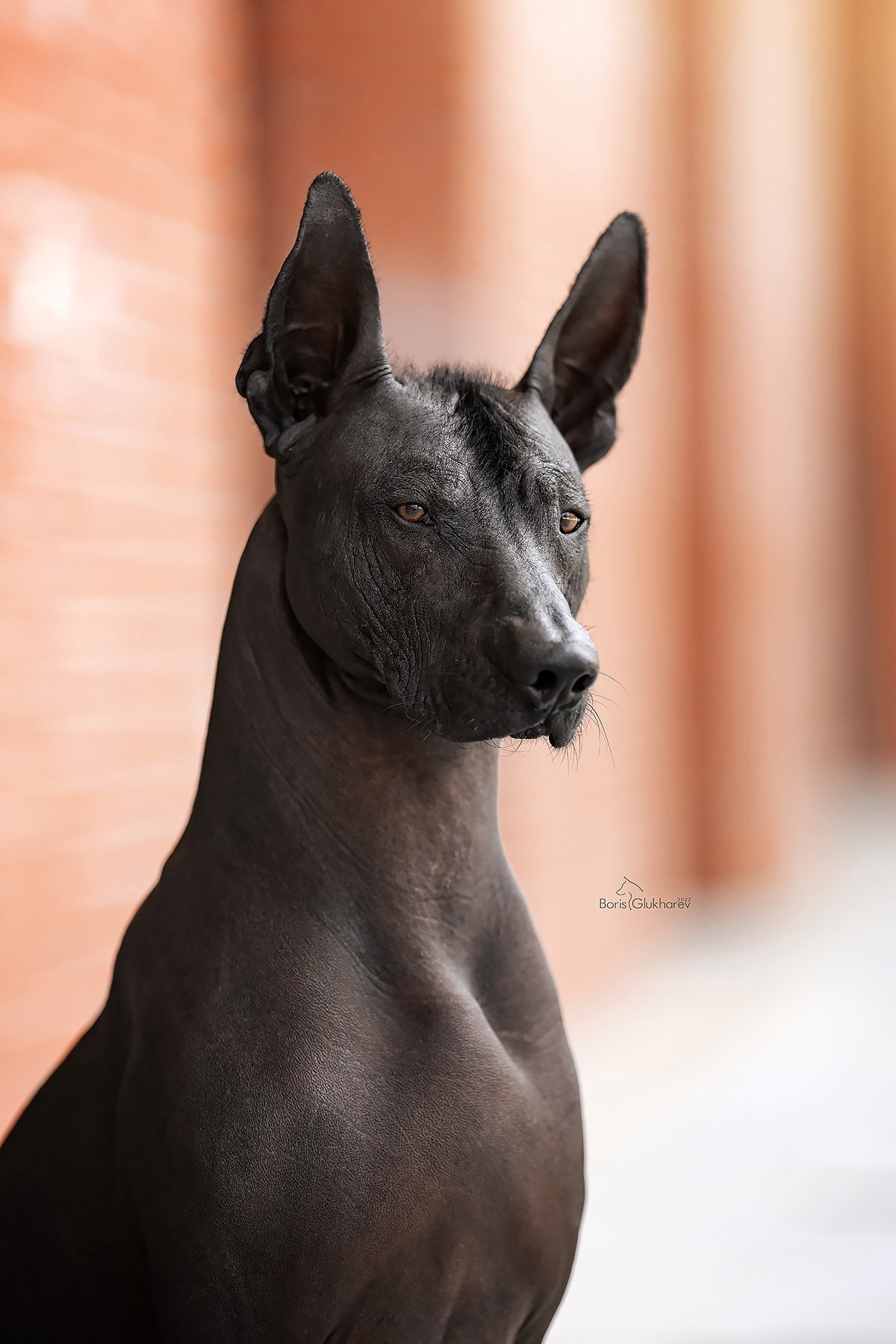 Борис Глухарев