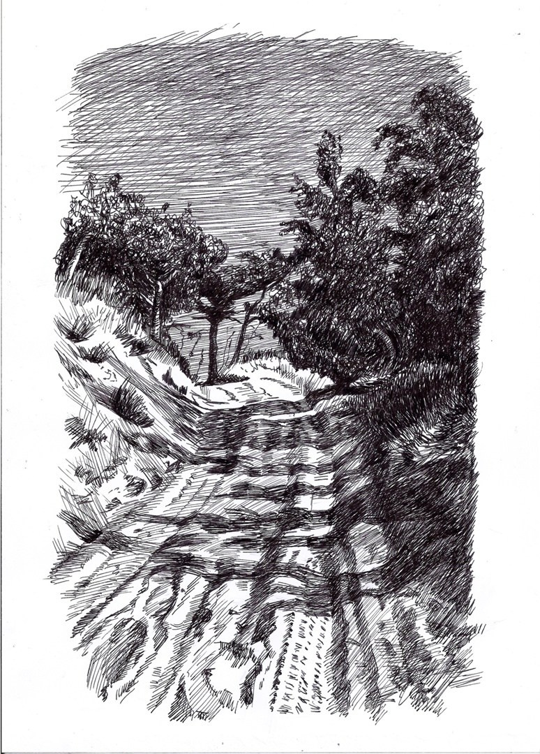 Графика. Фотограф Юлия Зимина