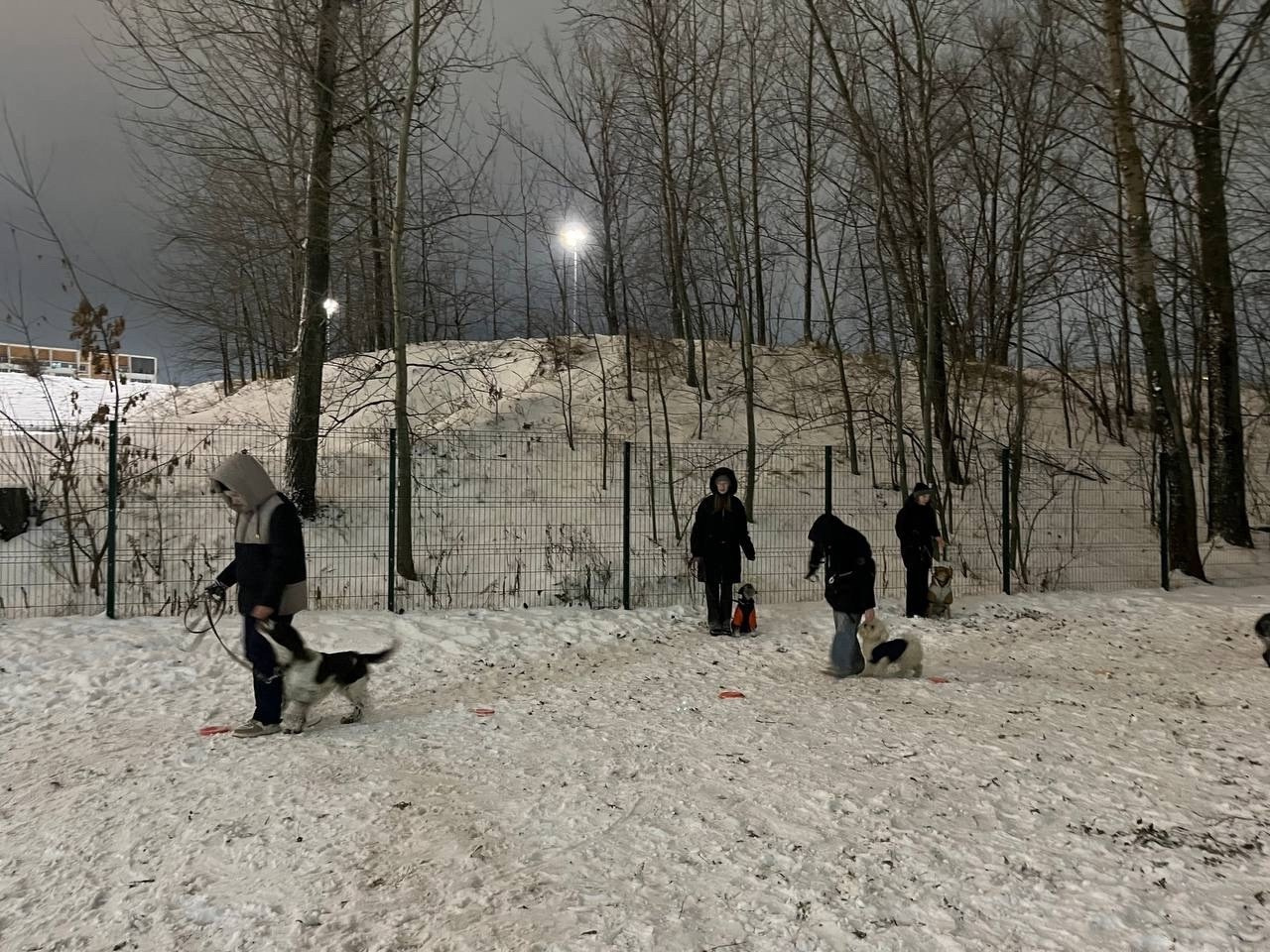 Практические занятия по дрессировке. НРОО КЦ "Собаковод"