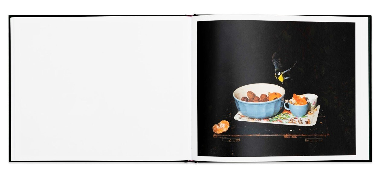 ОБЗОР АКТУАЛЬНЫХ ФОТОКНИГ: Листы I–XXXI. Самоорганизация Низина