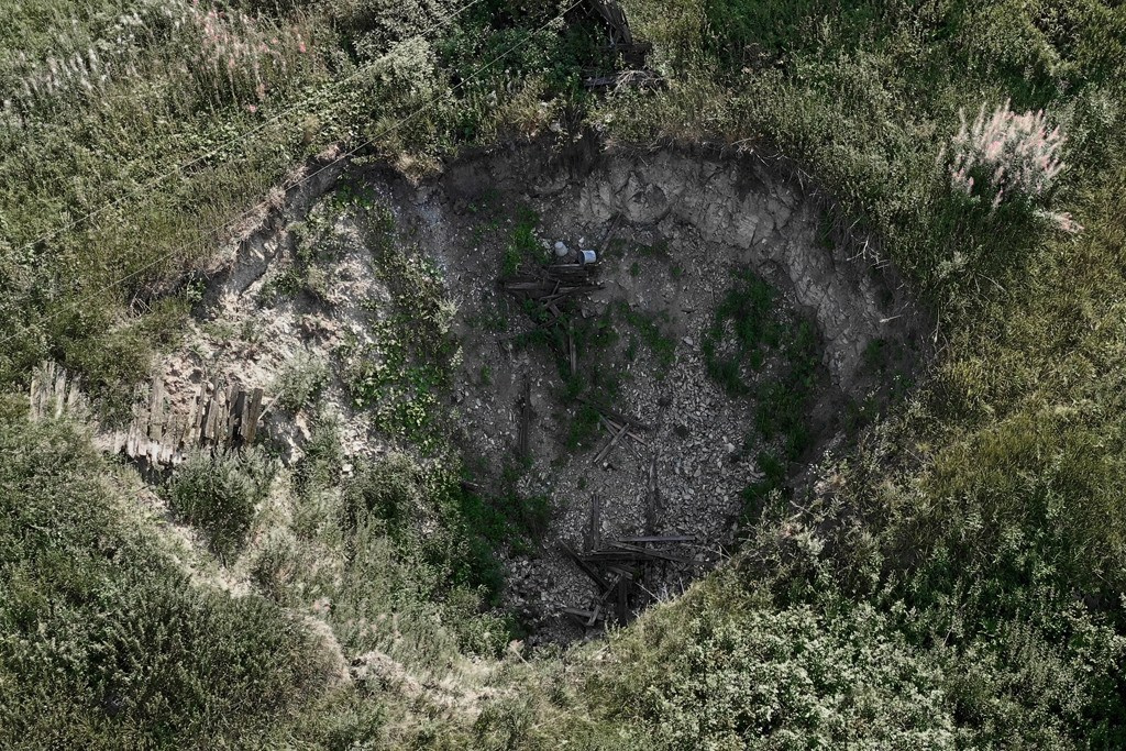 The city of white birches. Vita Stroganova