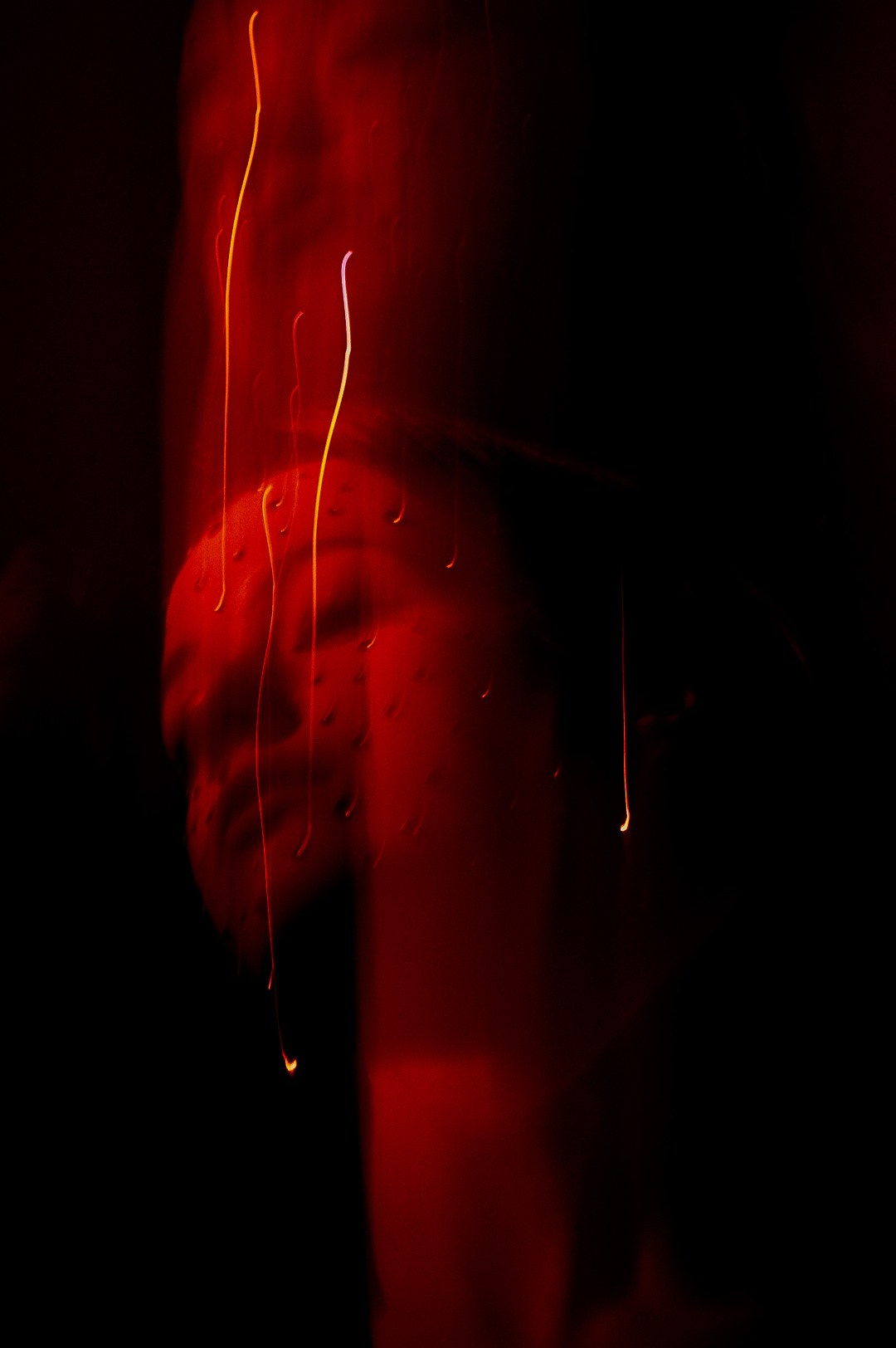 Sandra. Photographer