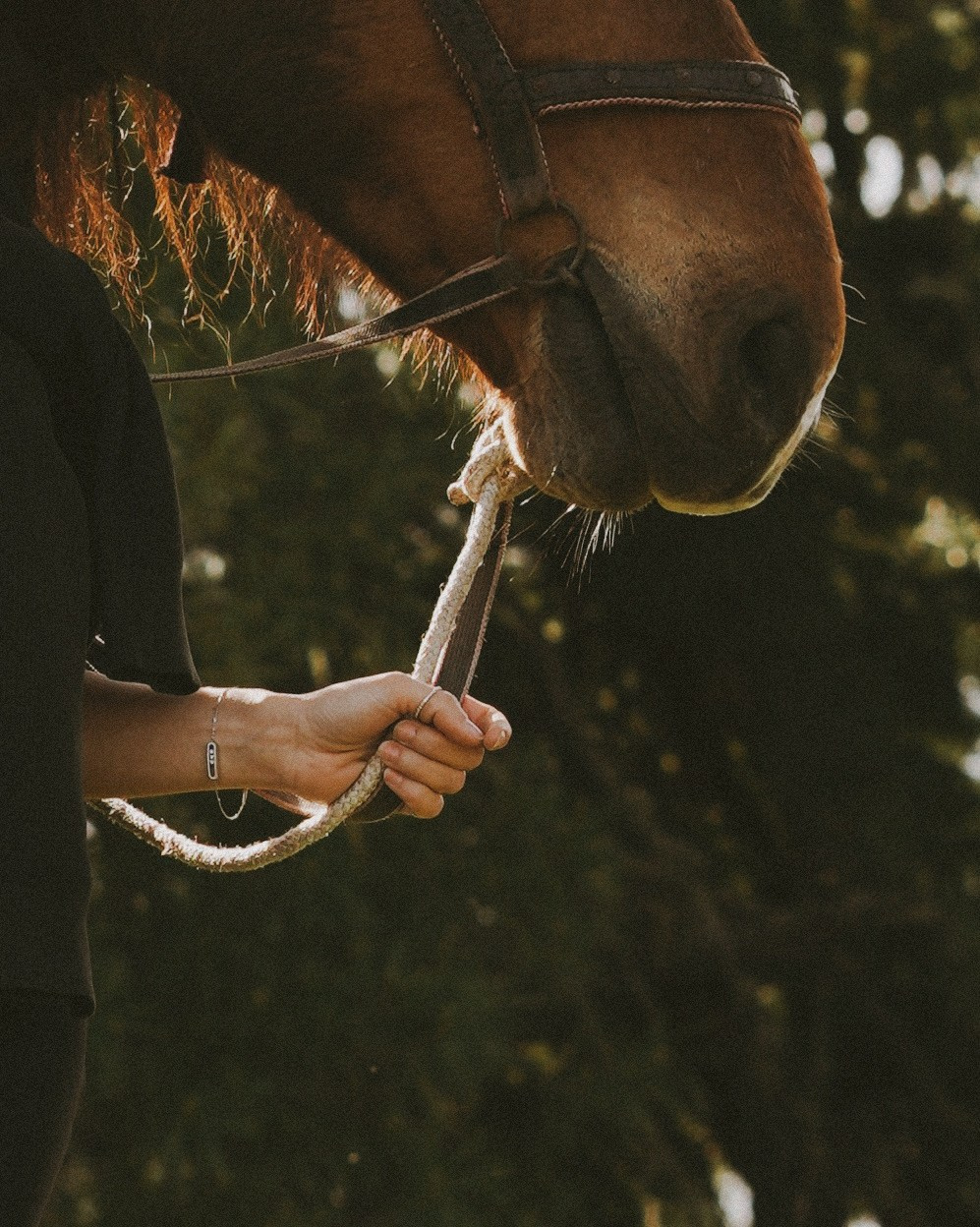 На конной прогулке по Алтаю. Выездной фотограф-видеограф в Республике Алтай Солоны Куюкова