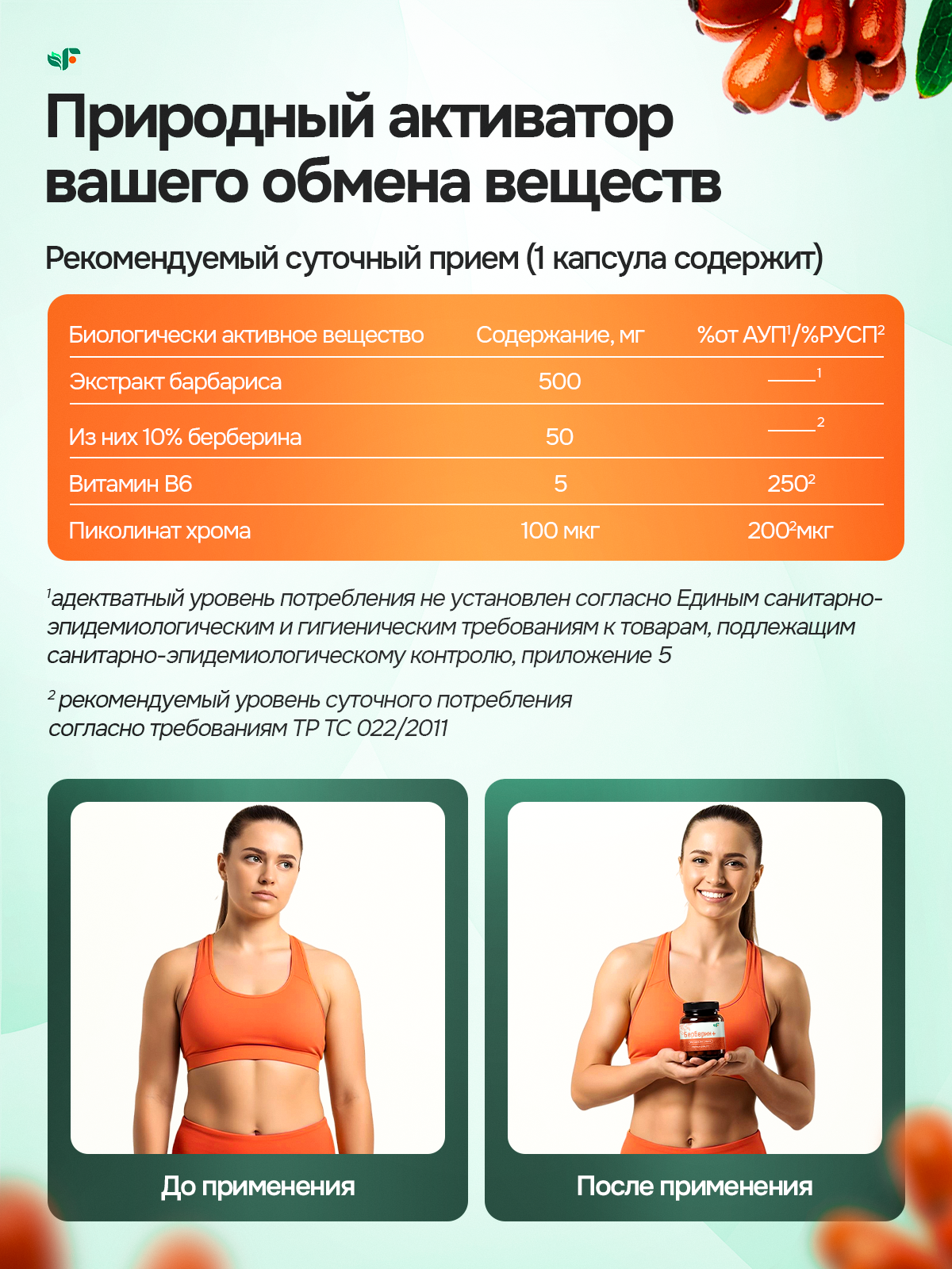 БАДЫ. Студия Антонины Баушевой