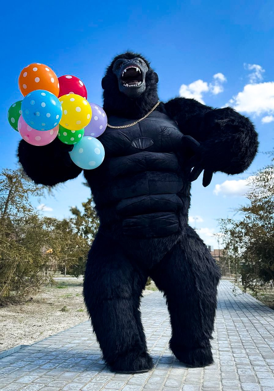 Эксперсс поздравление.ростовые куклы, медведь, панда, горилла. Организатор праздников. Ведущая Марина Гребенникова