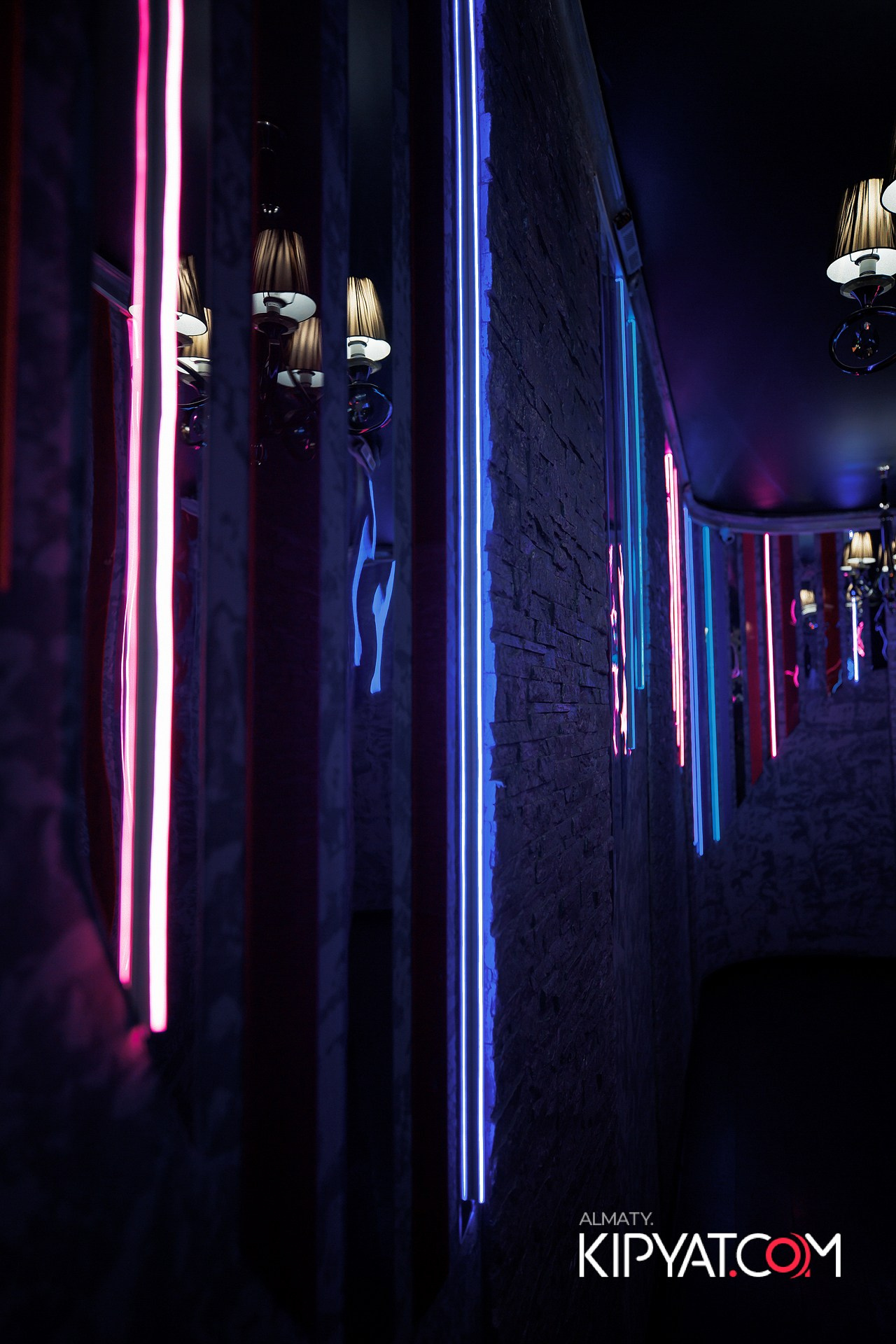 Ухо и Медведь на Гагарина. КИПЯТКОМ АЛМАТЫ!