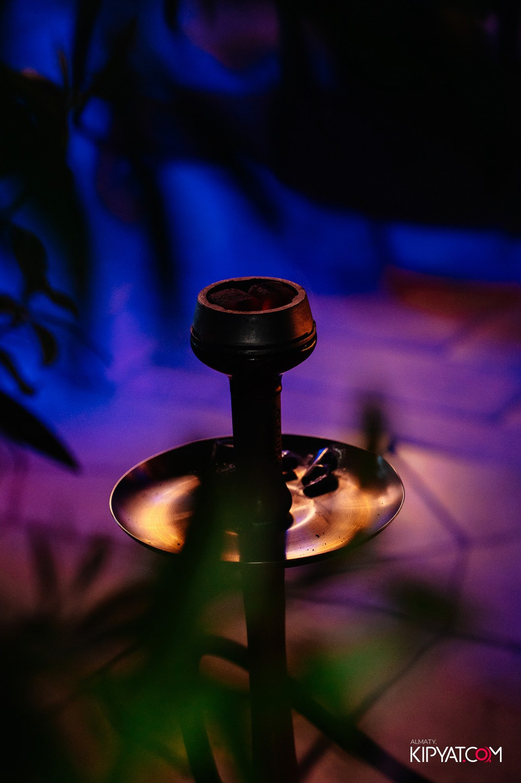 SAVAYA RESTAURANT. КИПЯТКОМ АЛМАТЫ!