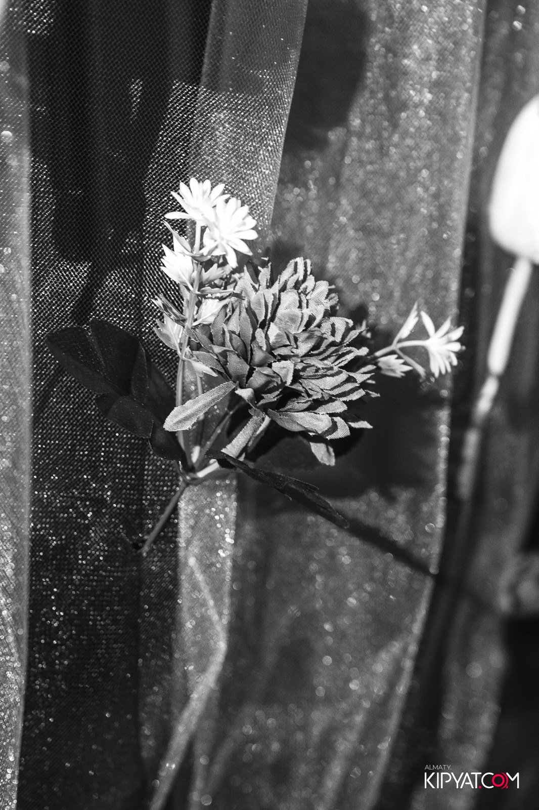 ПИНТА НА АУЕЗОВА. КИПЯТКОМ АЛМАТЫ!