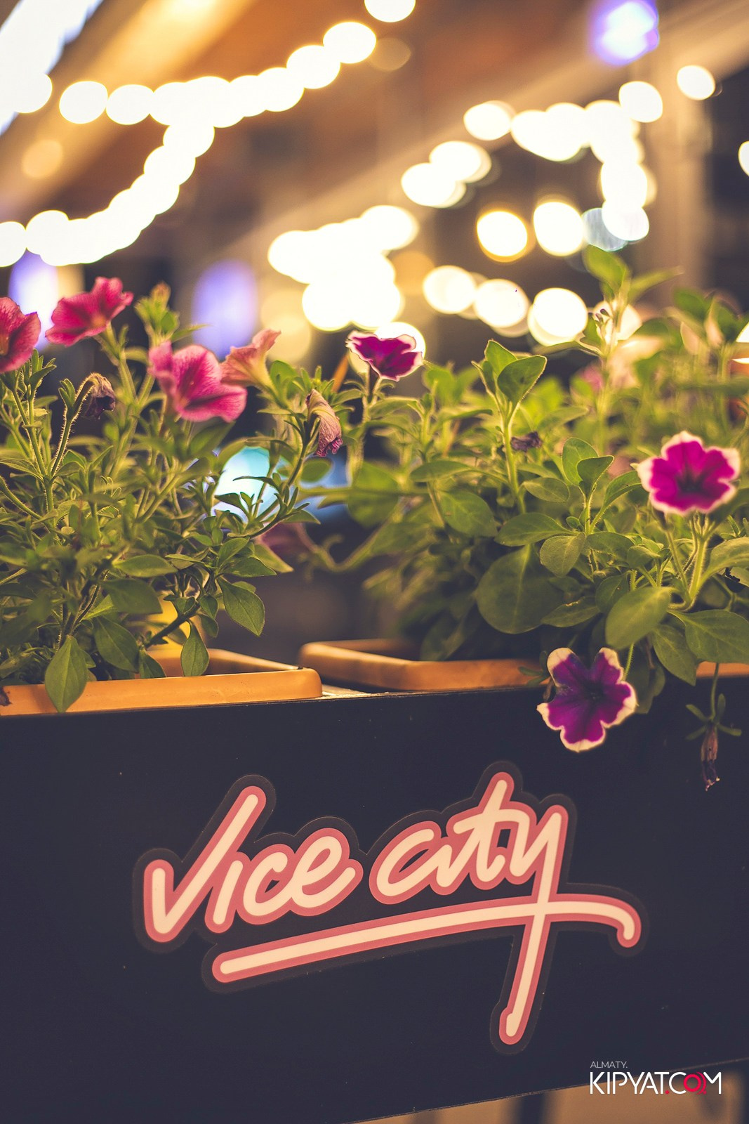 VICE CITY. КИПЯТКОМ АЛМАТЫ! Фотосъемка мероприятий в Алматы
