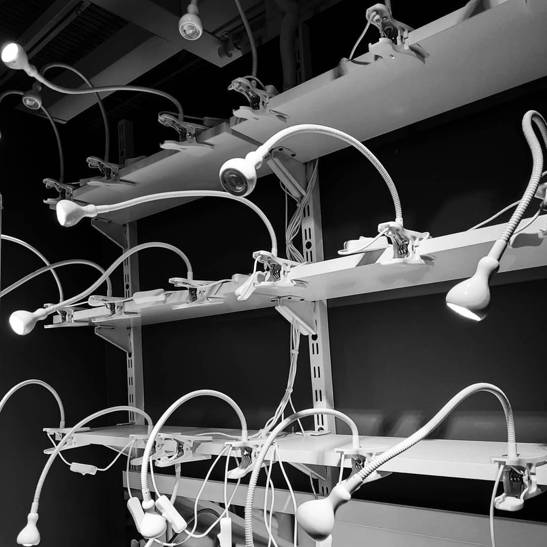 Free art. Interior & architecture photographer