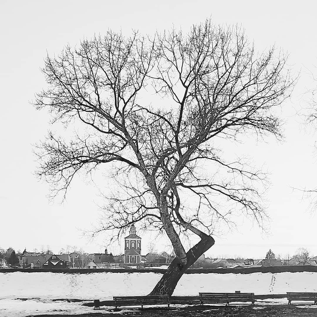 Free art. Interior & architecture photographer