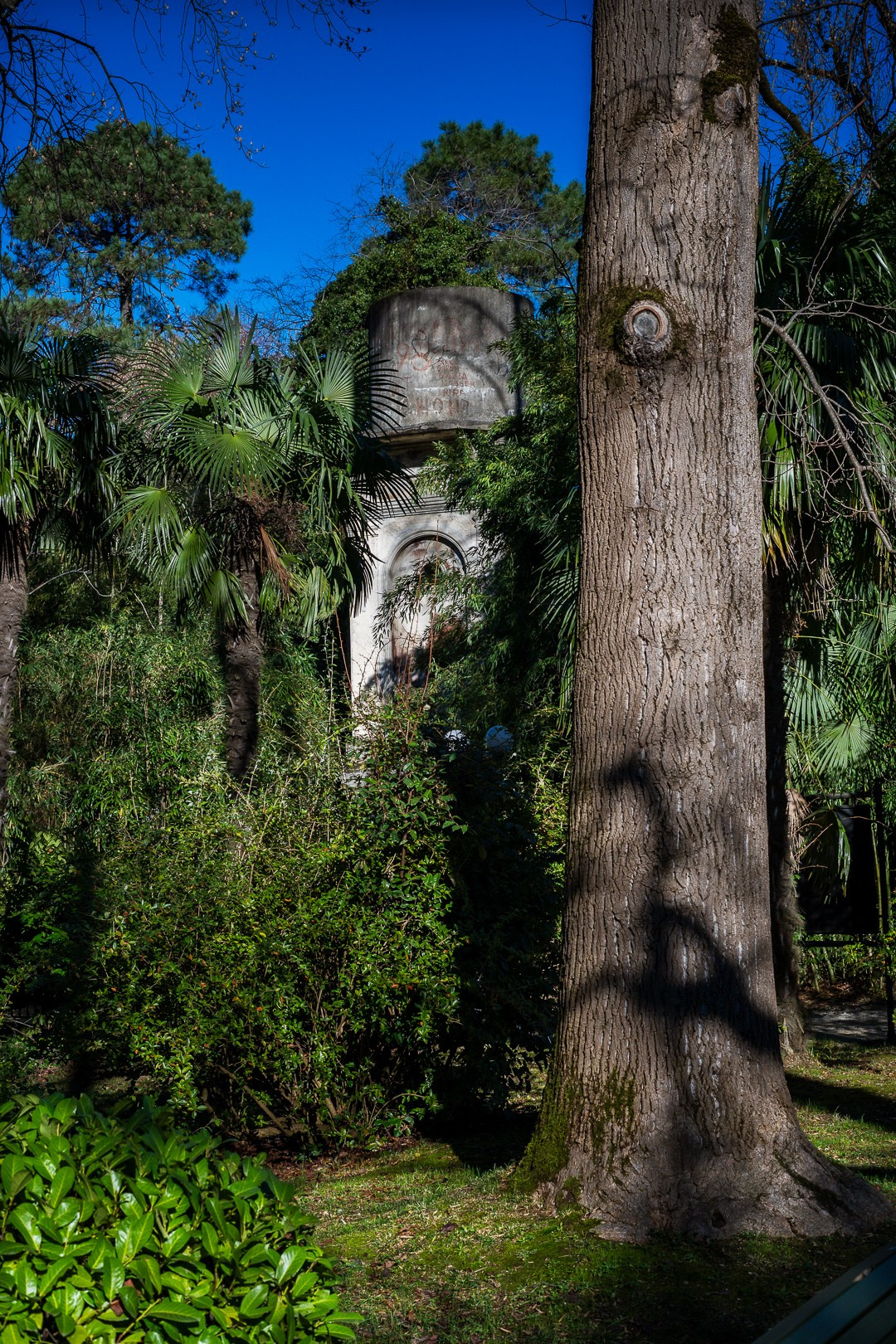 Парк Южные Культуры. Yaratezza production