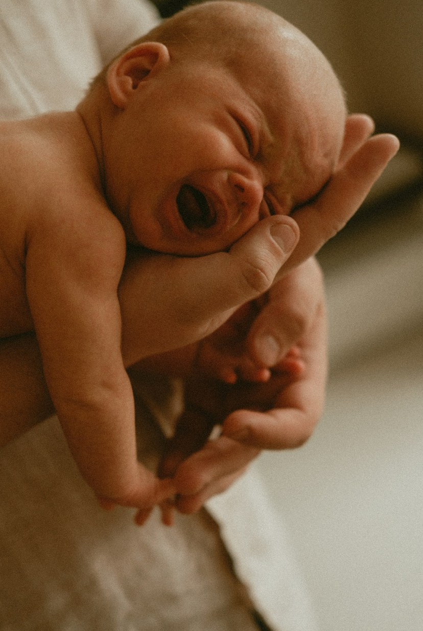 Family. Главная