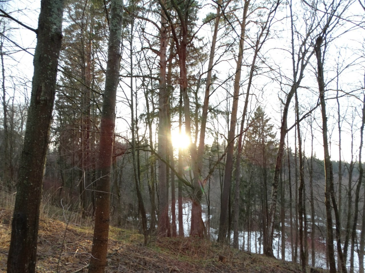 «Весенний переполох» Загородный выезд | 16-17.04.2016. Галерея Фантим
