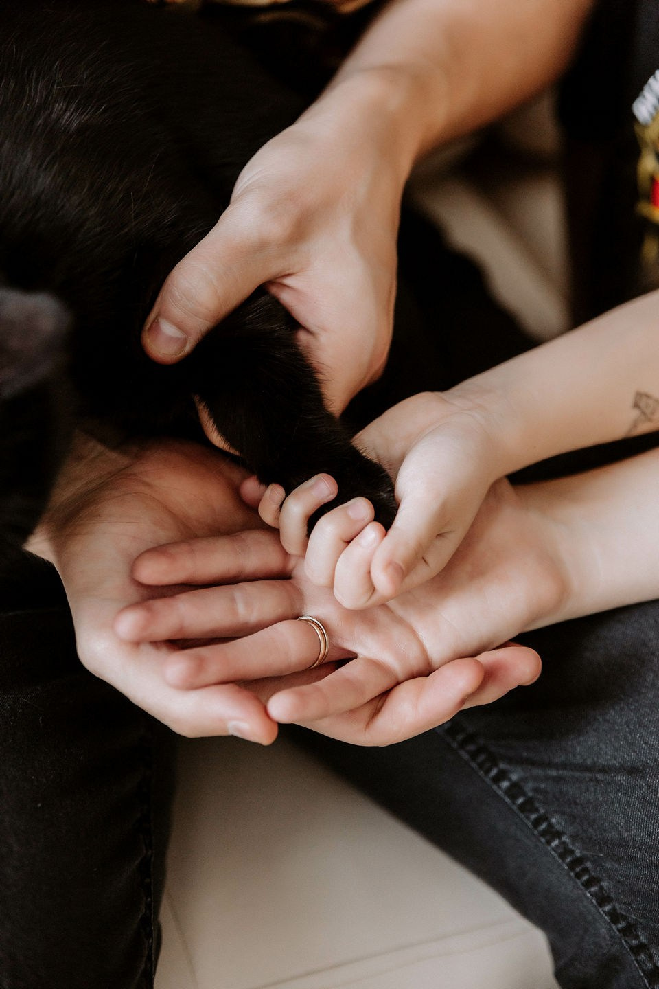 Семья — это не главное. Это всё. Свадебное фото свадебное видео фотограф видеограф Липецк Воронеж