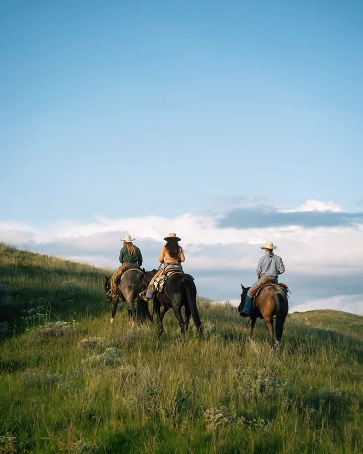 КОННЫЙ ПОХОД ПО АЛТАЮ. Уникальные экспедиции — LUCKY CLAN