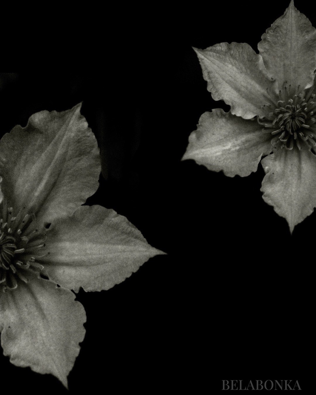 Природа. Фотограф Маргана Лоция