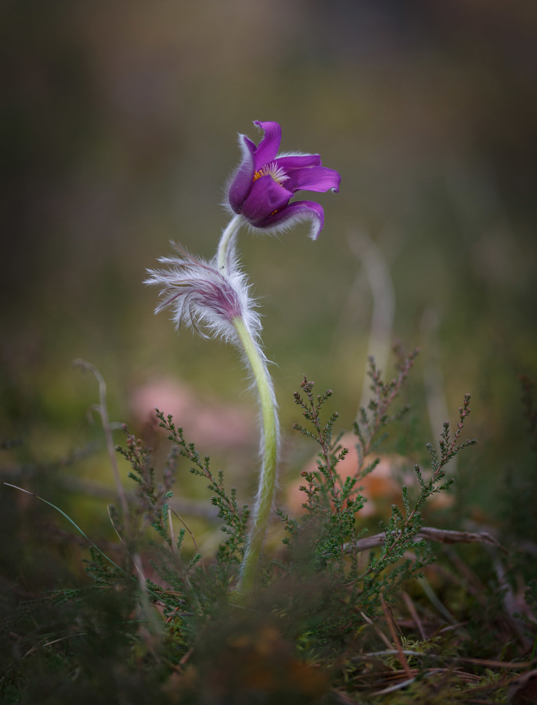Волшебный танец